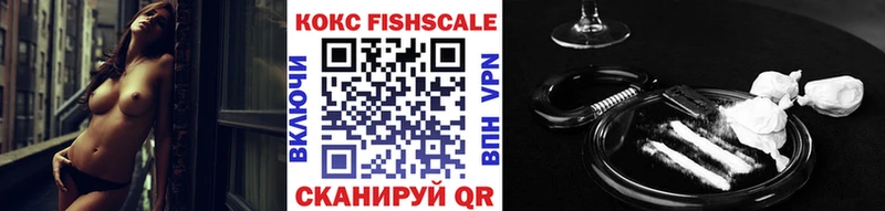 Cocaine FishScale  как найти наркотики  Каменногорск 