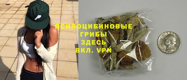 мет Новодвинск