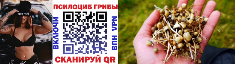 Галлюциногенные грибы ЛСД  магазин продажи   Каменногорск 